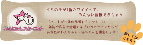 うちの子が1番カワイイって、みんなに自慢できちゃう！