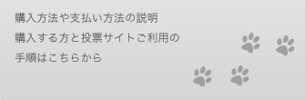 購入方法や支払い方法の説明購入する方と投票サイトご利用の手順はこちらから